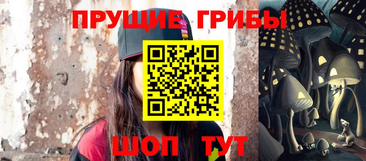 Псилоцибиновые грибы Psilocybine cubensis  Вход с VPN  Псилоцибиновые грибы GOLDEN TEACHER  Ачхой-Мартан 